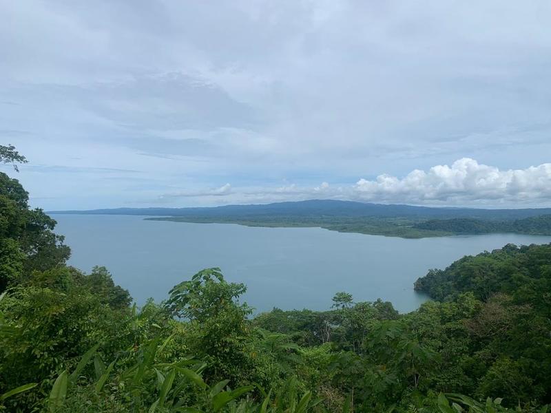 3 bed Lot/Land For Sale in Osa Peninsula, 